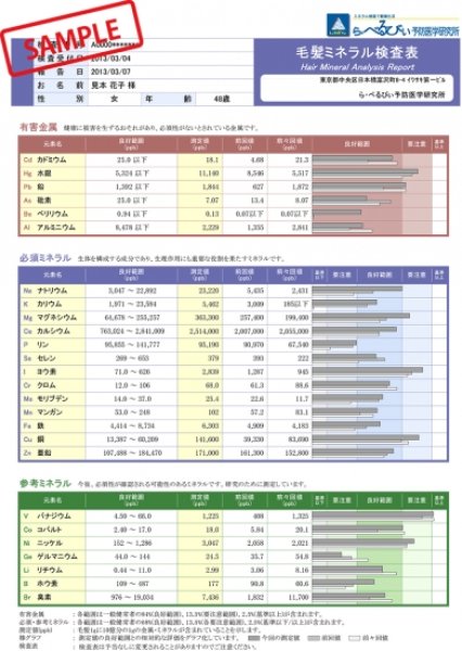画像2: 【見放題受講中の方限定】毛髪ミネラル検査（送料無料） (2)
