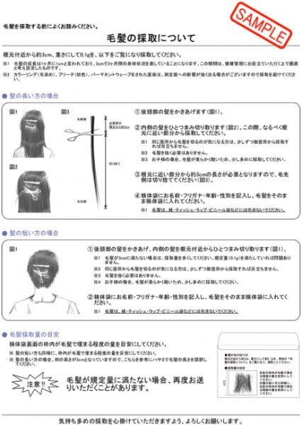 画像4: 【見放題受講中の方限定】毛髪ミネラル検査（送料無料） (4)