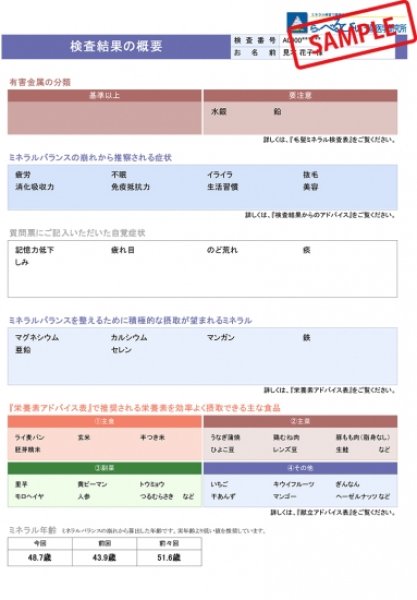 画像3: 【見放題受講中の方限定】毛髪ミネラル検査（送料無料） (3)