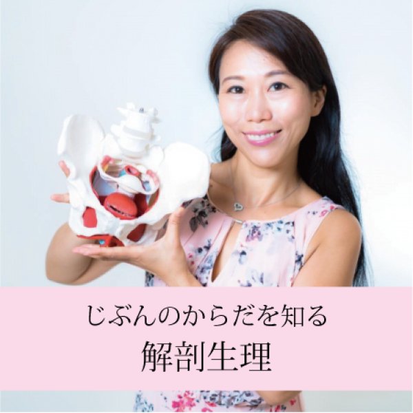 画像1: 4/25(土)＆4/29(水) 「自分のからだを知る　誰でもわかる解剖生理」セミナー2デイズ (1)