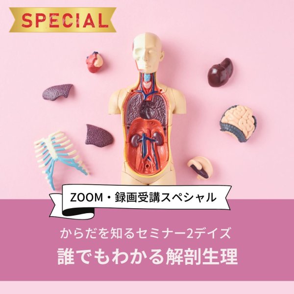 画像1: 「からだを知るセミナー2デイズ （誰でもわかる解剖生理）」〜ZOOM・録画受講スペシャル〜 (1)