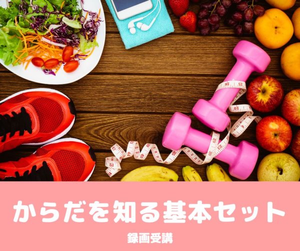 画像1: からだを知る基本セット (1)