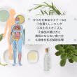 画像2: からだを知る基本セット (2)