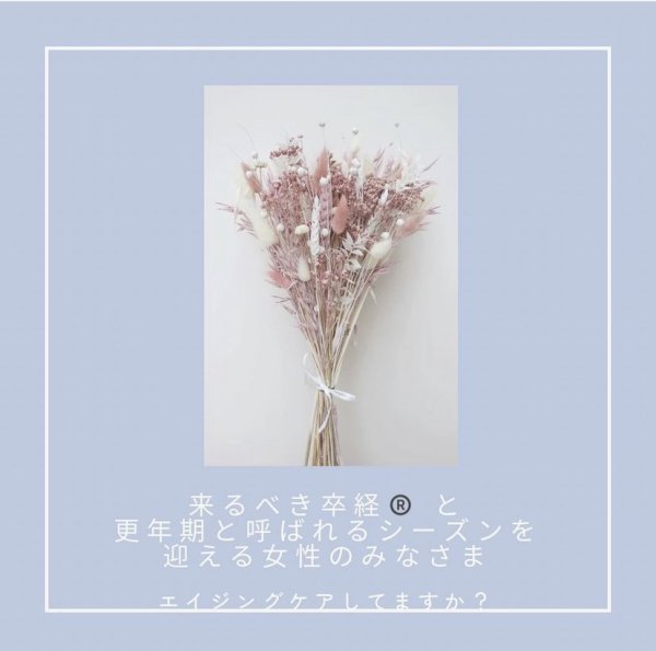 画像2: 「エイジングケア」録画セミナー (2)
