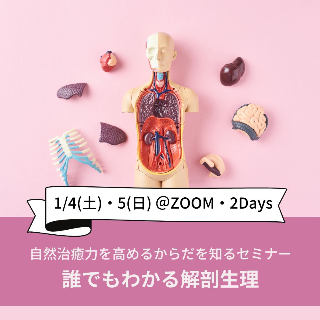 「自然治癒力を高めるからだを知るセミナー2デイズ （誰でもわかる解剖生理）」ZOOMセミナー（録画受講）