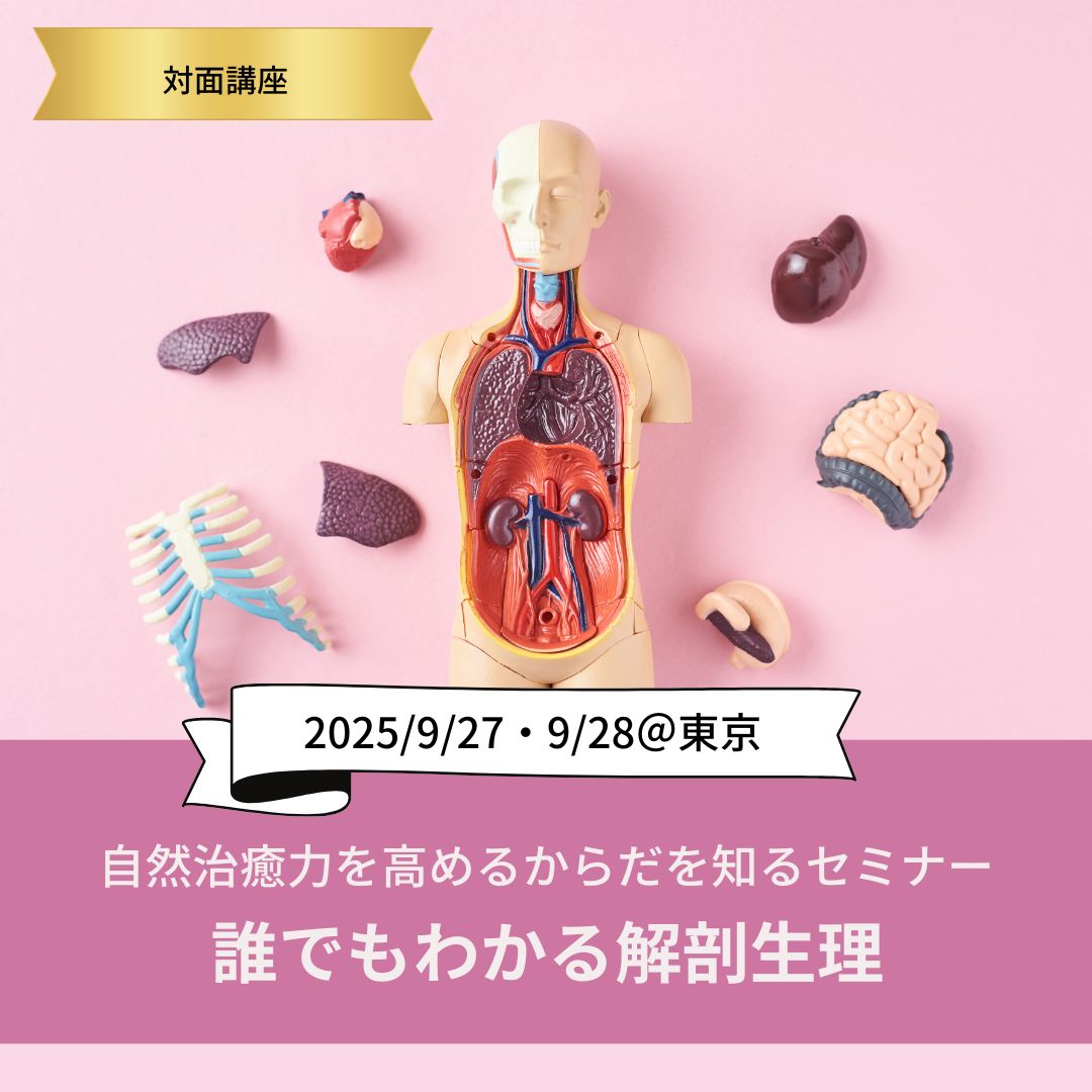 9/27(土)〜28(日)「自然治癒力を高めるからだを知るセミナー2デイズ （誰でもわかる解剖生理）」＠東京